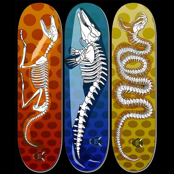 "Bones" Series