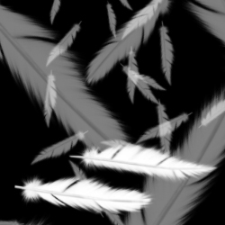 Feathers Brushes