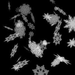 Snow Brushes