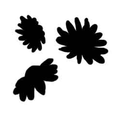 Flower Heads