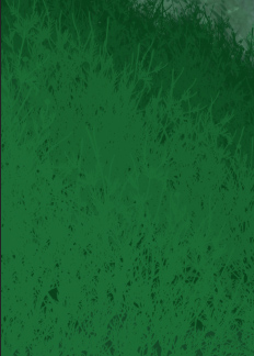 Green Flower Stocks