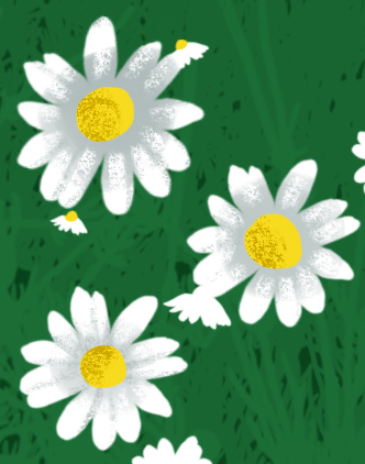 Shaded Flowers