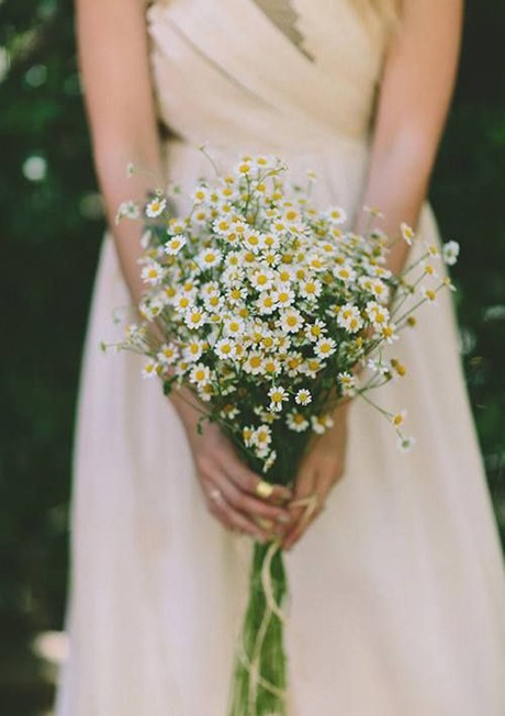 Chamomile Bouquet