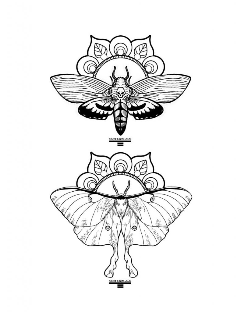 Black and white death's head moth and luna moth coloring book page