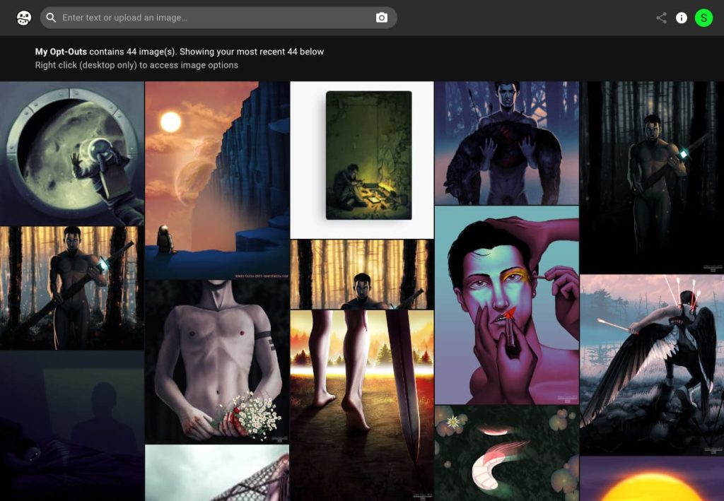 A screenshot from the HaveIBeenTrained website showing some of the images I opted out.