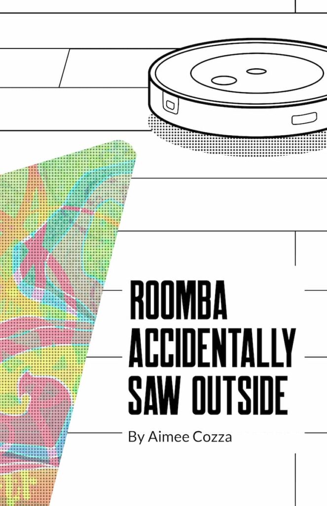 Roomba Accidentally Saw Outside