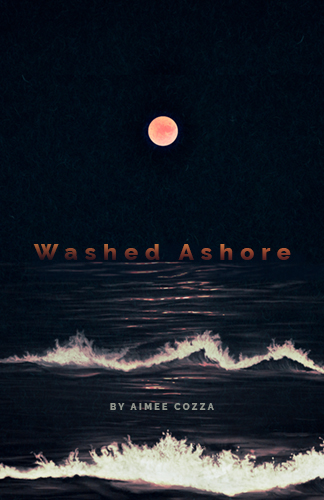 Washed Ashore by Aimee Cozza