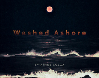 Washed Ashore by Aimee Cozza